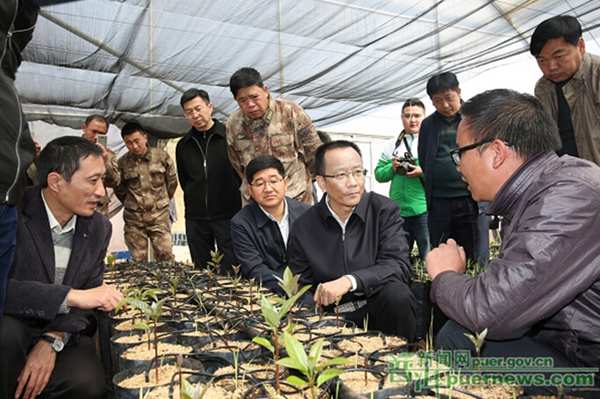 Secretary of the Pu’er Municipal Party Committee Wei Xing pays a visit to Menglian County and Ximeng County