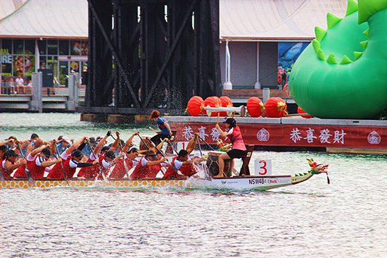 Thousands of Australians take to Dragon Boat races for Chinese New Year celebrations