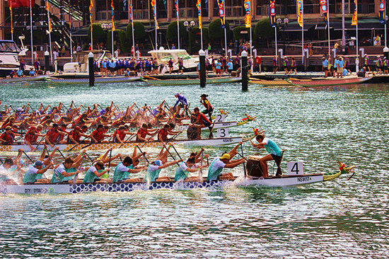 Thousands of Australians take to Dragon Boat races for Chinese New Year celebrations