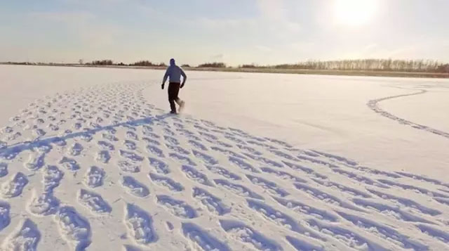 Gorgeous masterpiece created by walking in snow 
