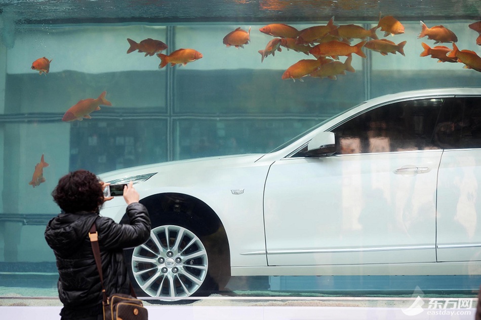 Luxury car in fish tank displayed in Shanghai