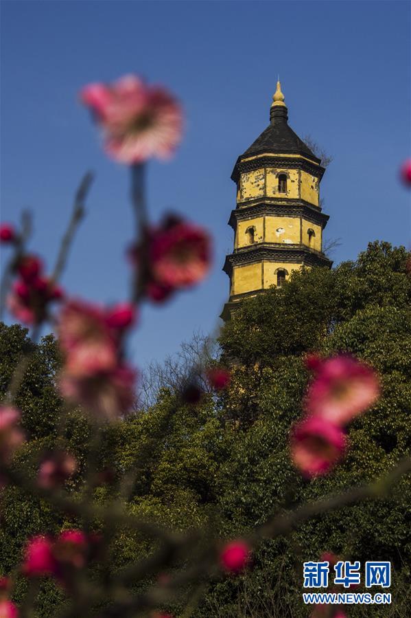 Enjoy warm sunshine as spring returns 