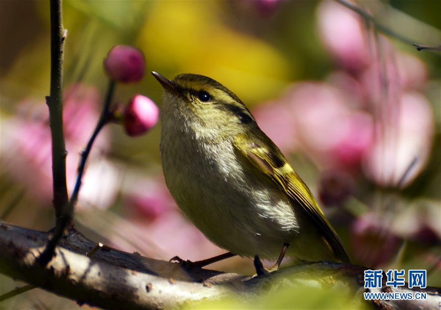 Enjoy warm sunshine as spring returns 