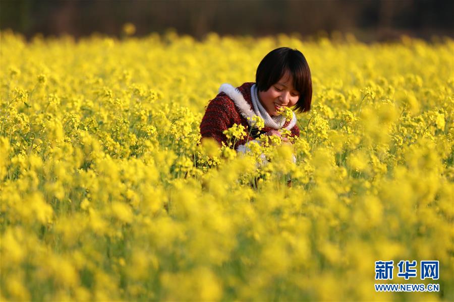 Enjoy warm sunshine as spring returns 