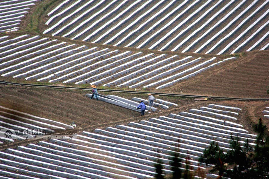 In pics: matrix of farmland in plowing, sowing season, SW China