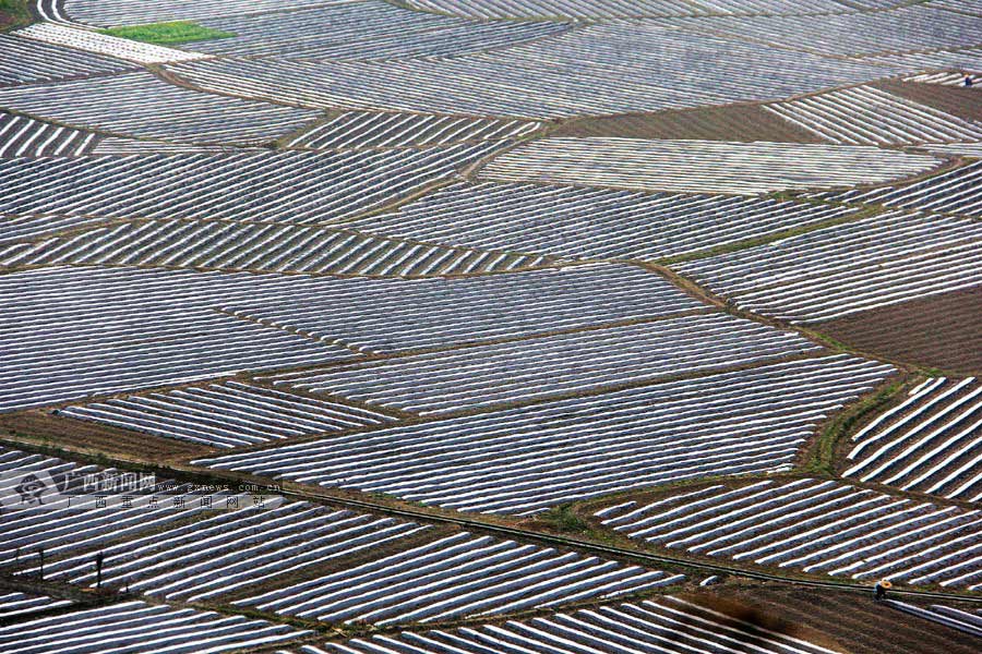 In pics: matrix of farmland in plowing, sowing season, SW China