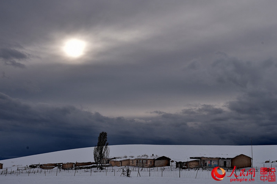Intoxicating winter scenery of Kalajun Grassland
