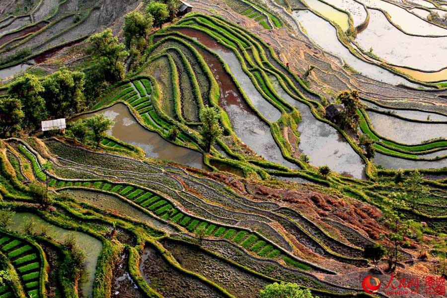 Breathtaking terrace scenery in Yunnan
