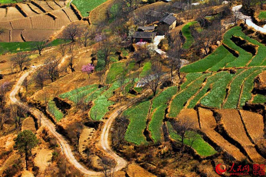 Breathtaking terrace scenery in Yunnan
