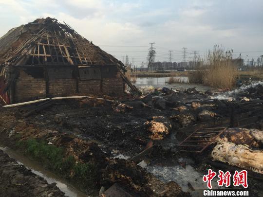 Fire at hog farm in East China kills 100 pigs