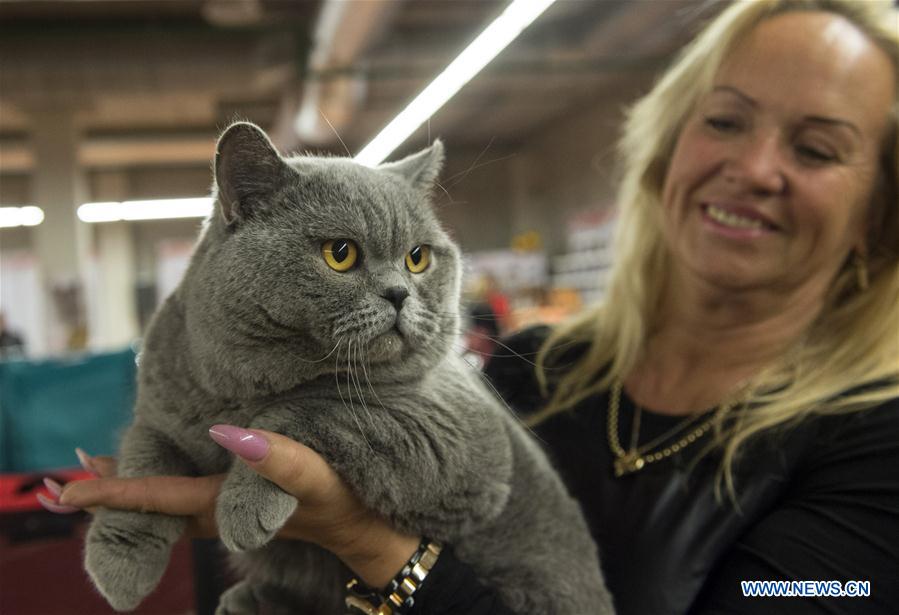 Int'l cat show held in Lithuania