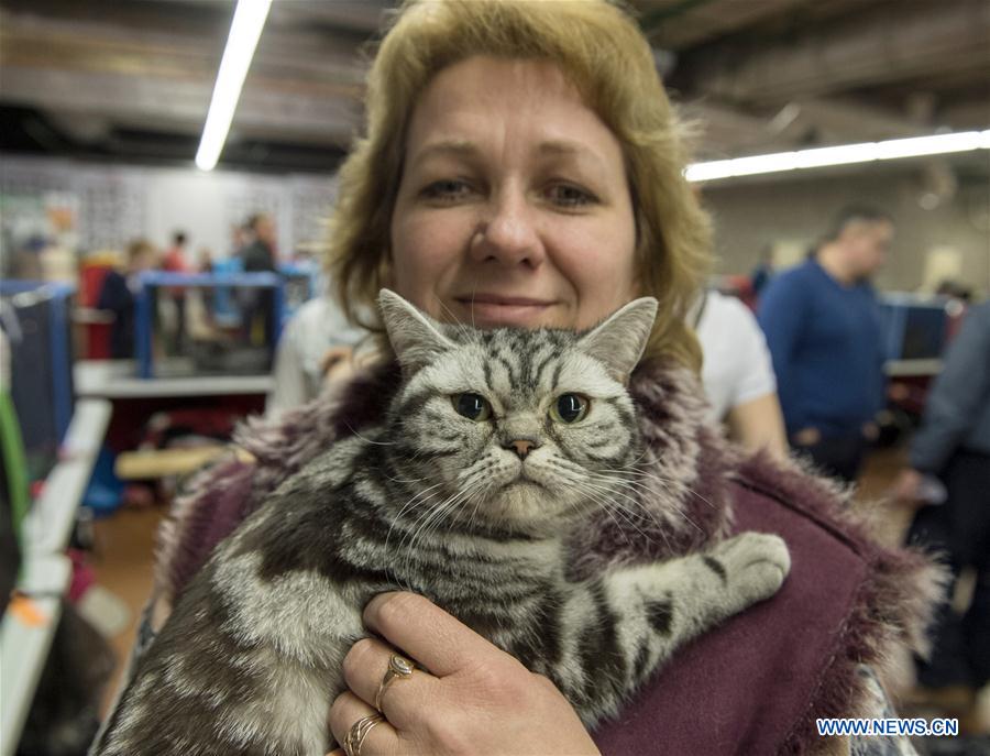 Int'l cat show held in Lithuania
