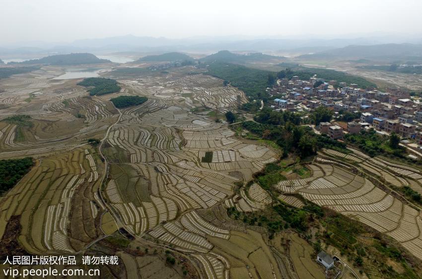 Magnificent aerial views of terrace fields in SW China