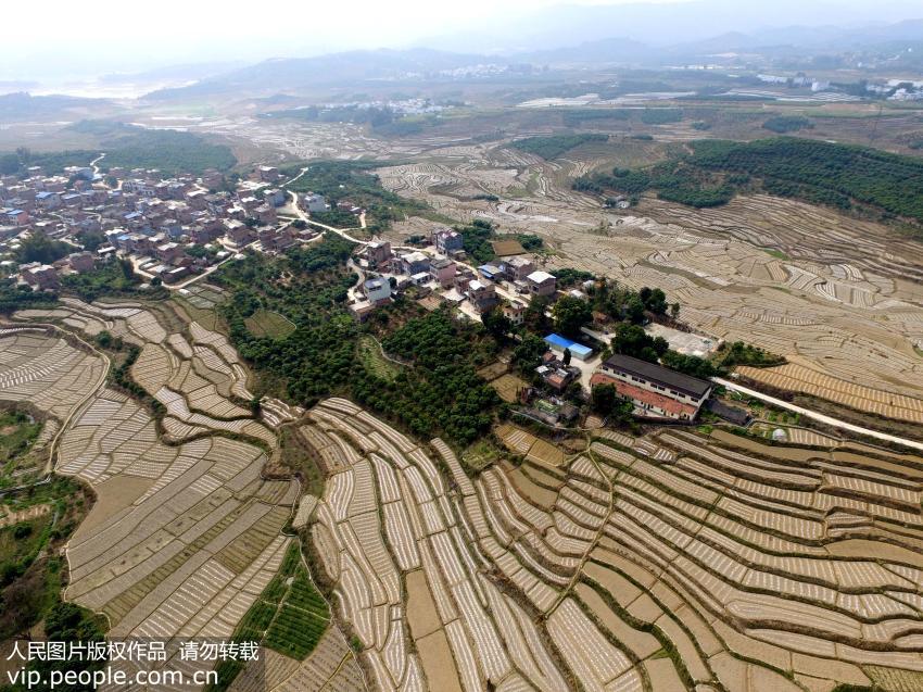 Magnificent aerial views of terrace fields in SW China