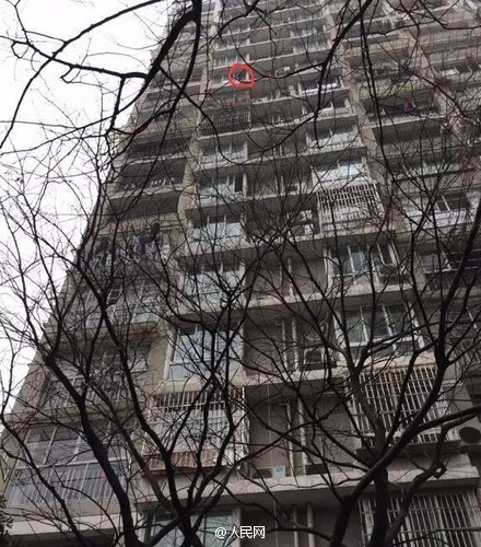 4-year-old girl survives fall from 11th floor