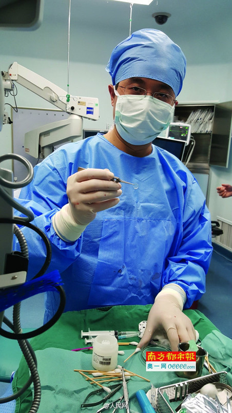 Teenager regains sight after transplantation of pig's cornea