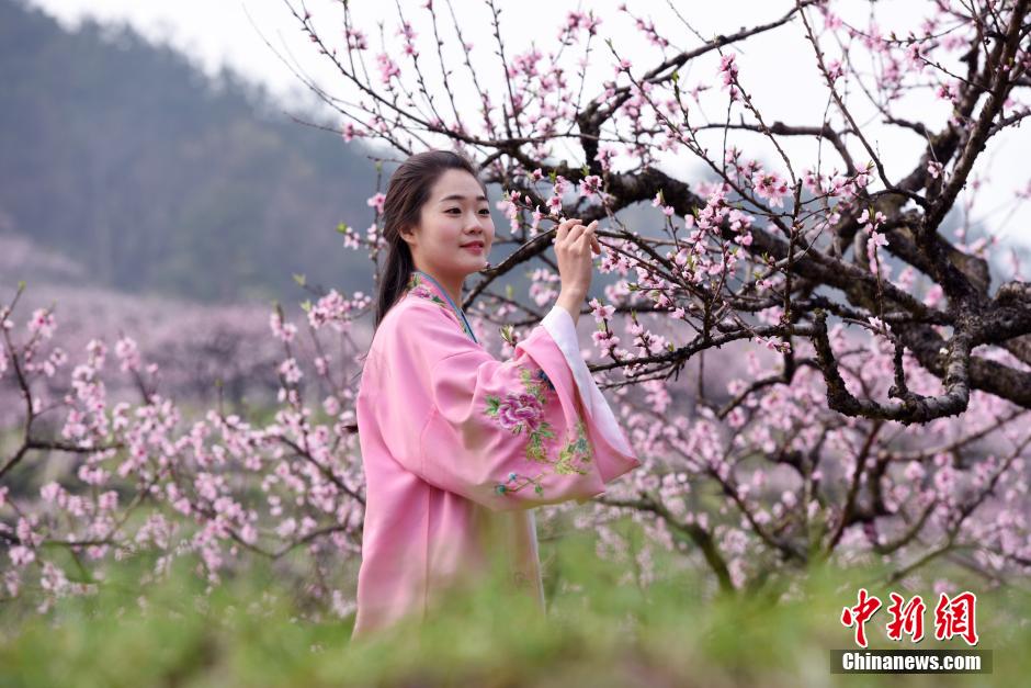 College girls in ancient costume promote peach blossom festival
