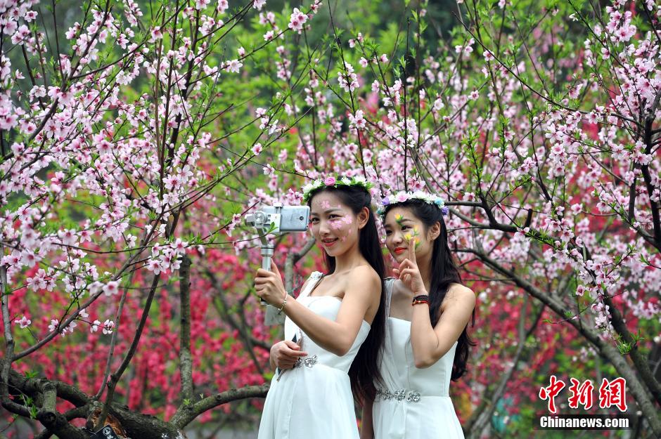 Pretty girls take selfies with flowers in full bloom