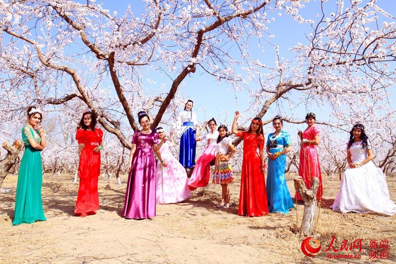 'Apricot fairy' pageant held in Xinjiang