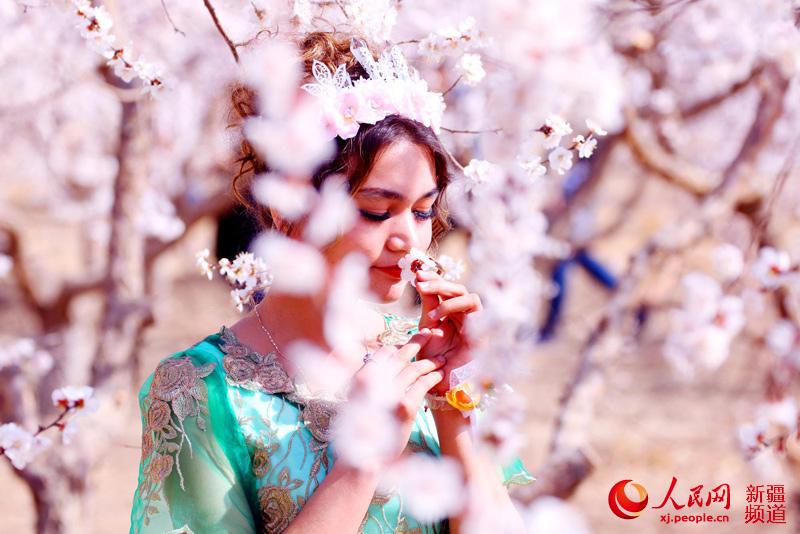 'Apricot fairy' pageant held in Xinjiang