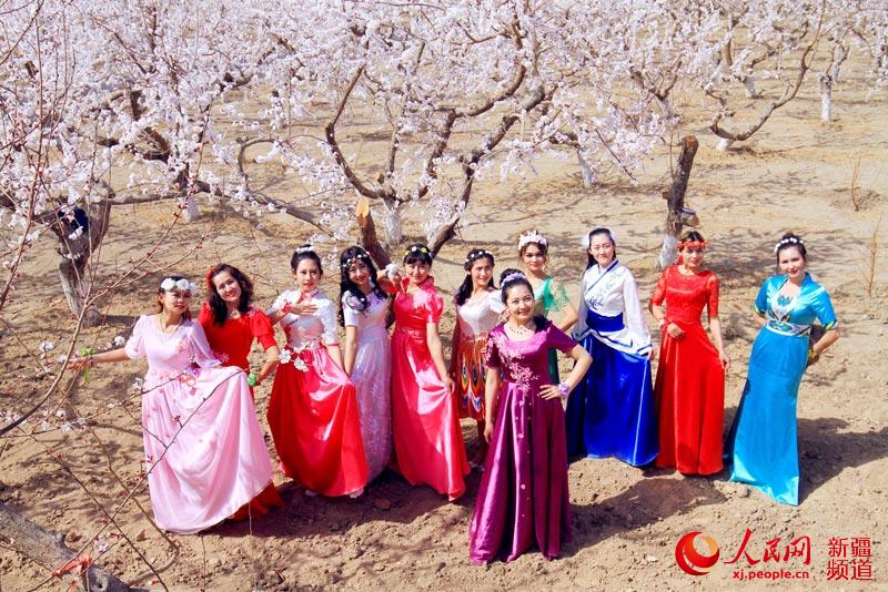 'Apricot fairy' pageant held in Xinjiang