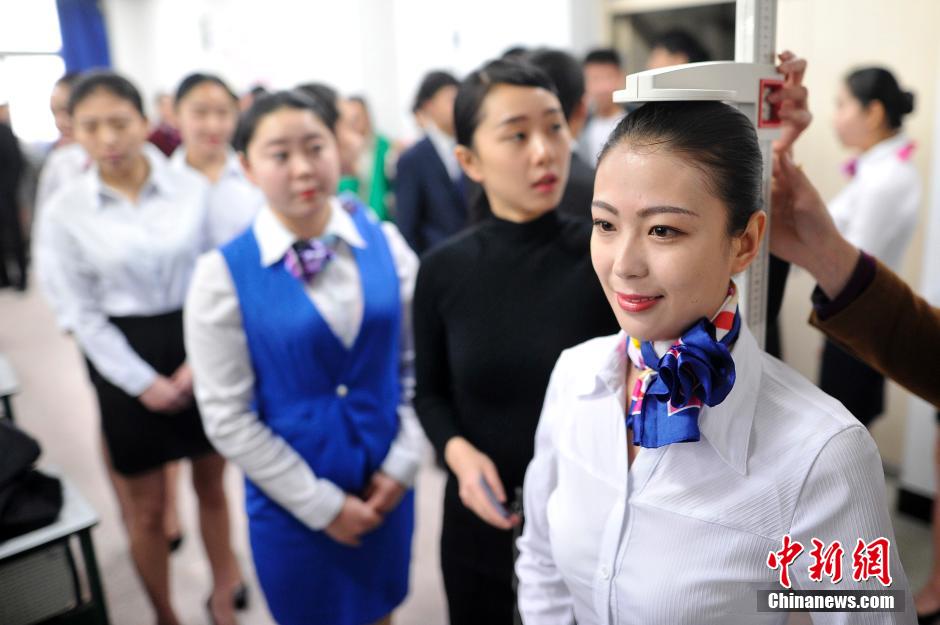 Beautiful university students compete to be stewardesses