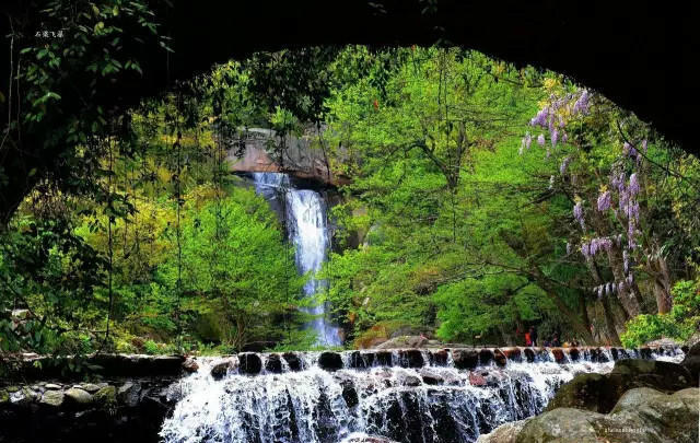 The most beautiful forest trails in East China's Zhejiang