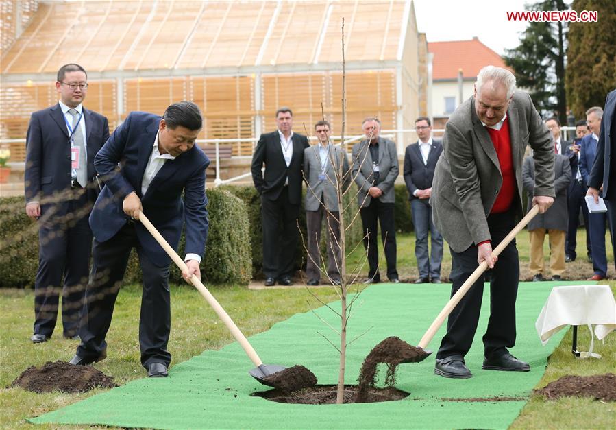 Xi meets Zeman at Czech president's country home on state visit