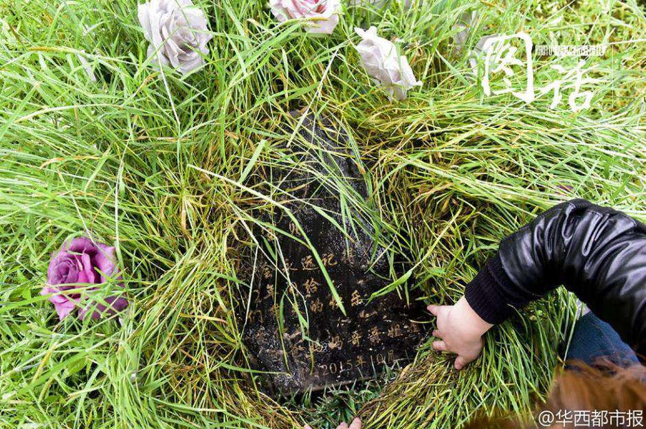 Price for pet tombs flies high in Chengdu