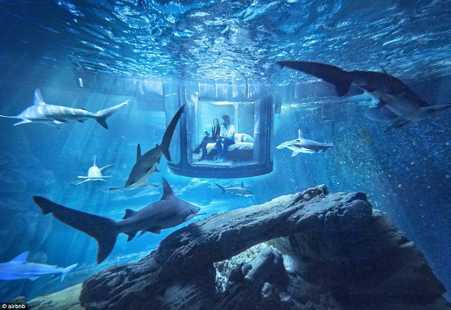 Airbnb Launches Its First Underwater Bedroom Where Guests