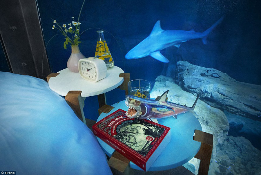 Airbnb launches its first underwater bedroom where guests are