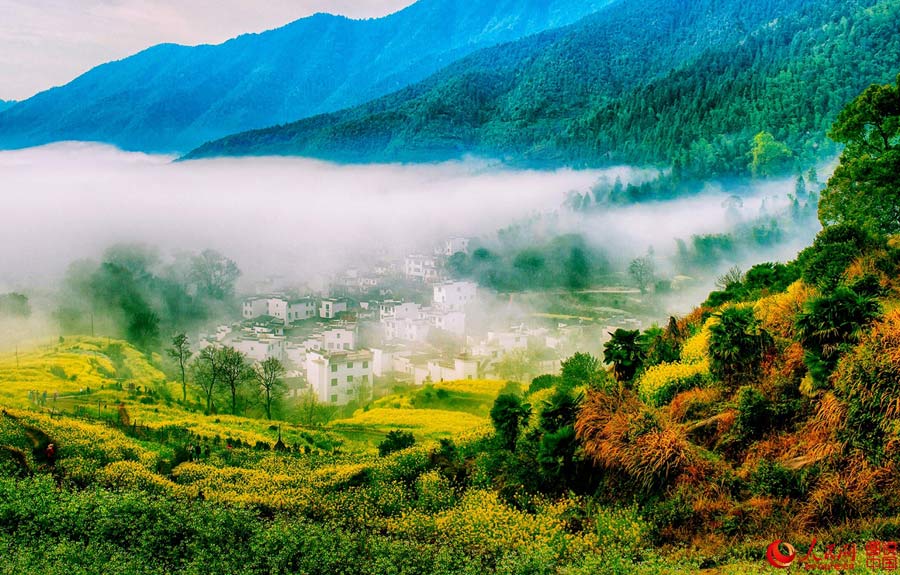 Intoxicating scenery of Wuyuan