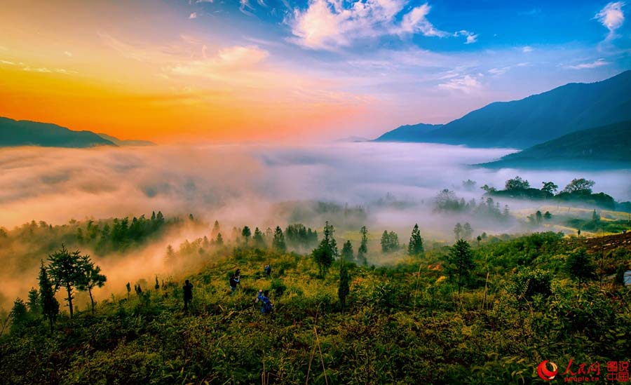 Intoxicating scenery of Wuyuan
