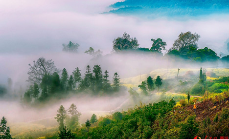Intoxicating scenery of Wuyuan