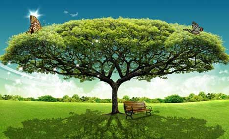 Friendship trees planted by Xi and foreign leaders