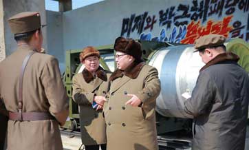 DPRK test-fires new-type guided rockets: report