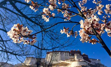 China's natural scenery in multiple spring colors