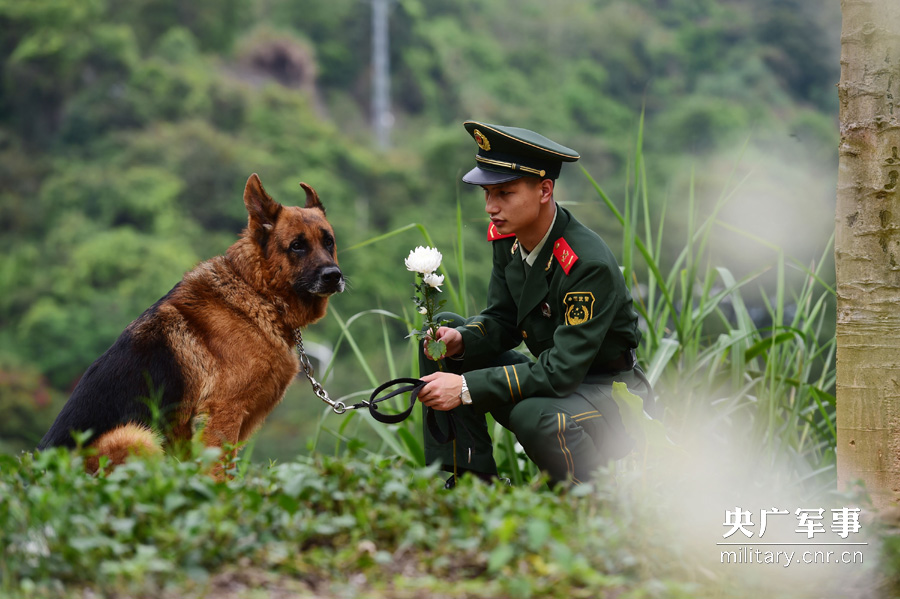 Soldiers pay tribute to hero police dog