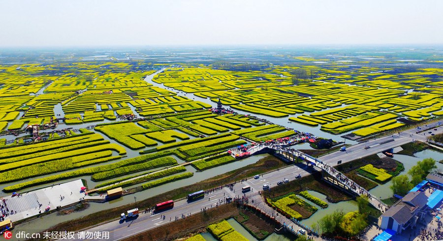 Rape flower field in Jiangsu sees enormous visitor flow during Tomb-sweeping Day