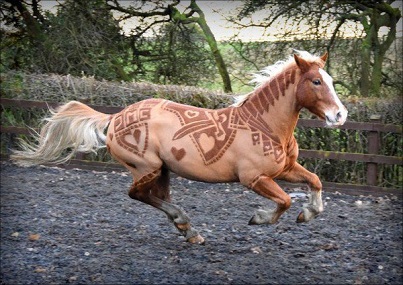 When horses start to go to hairdressers