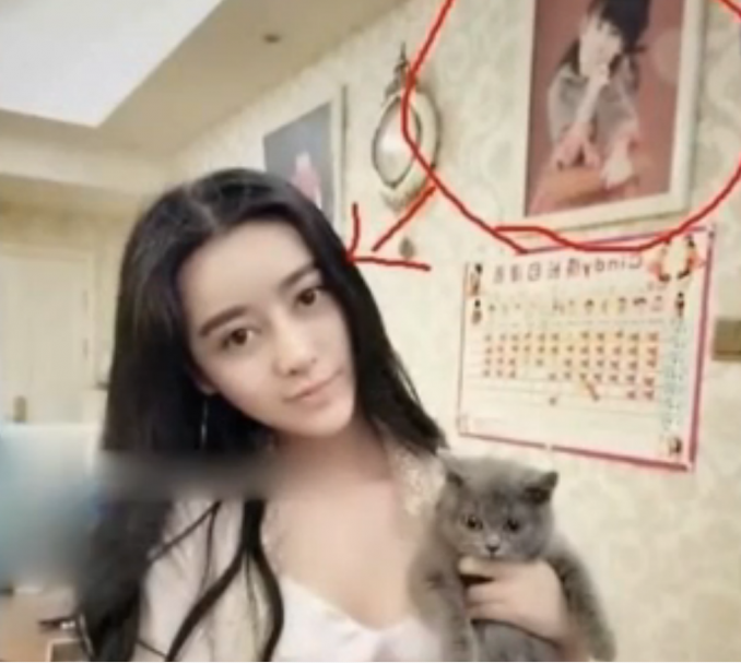 Woman who had cosmetic surgery to look like Fan Bingbing goes viral online