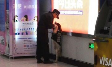 Naughty police dog lectured by trainer in Shanghai metro