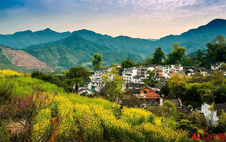 Flowers in full bloom in ancient village in Jiangxi 