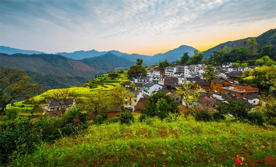 Flowers in full bloom in ancient village in Jiangxi 