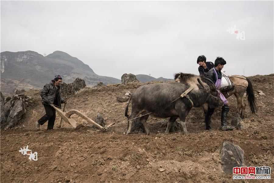 Moments in the life of linemen