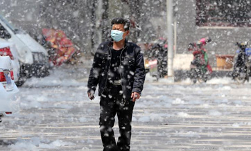 Cotton-like poplar catkins create nuisance in east China's city