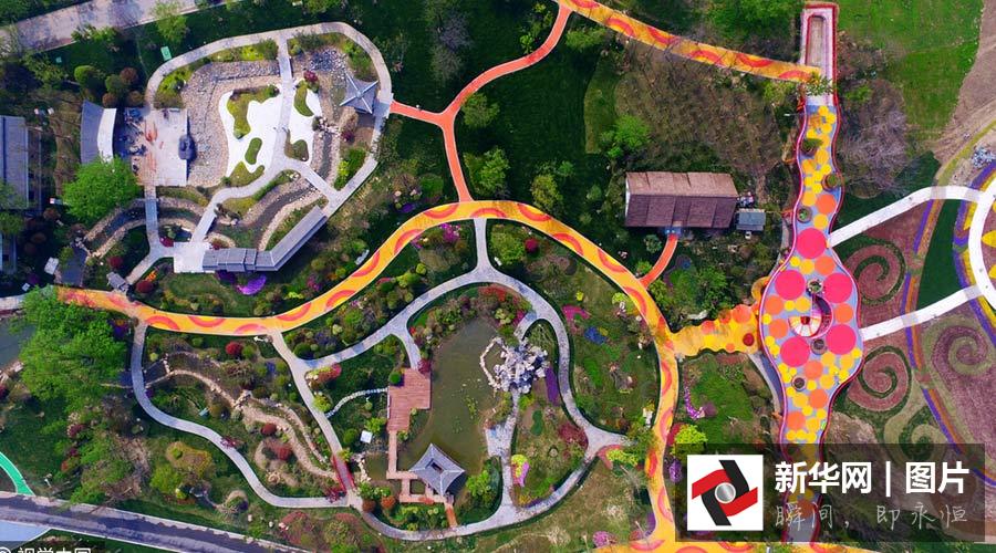 Aerial view of flower fields in E China