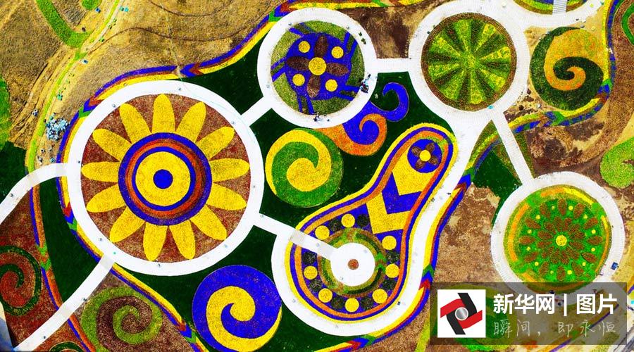 Aerial view of flower fields in E China