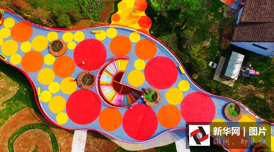 Aerial view of flower fields in E China