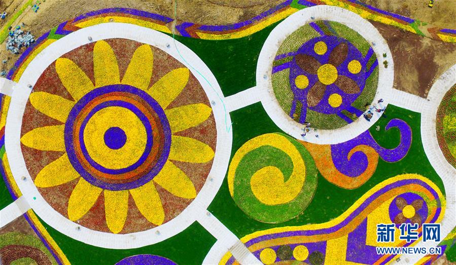 Aerial view of flower fields in E China